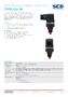 PDF Thumbnail
